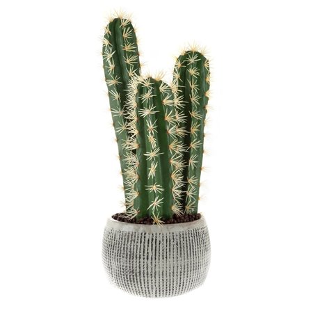 NATURE SPRING 22-Inch Artificial Cactus Plant 509424ZRY